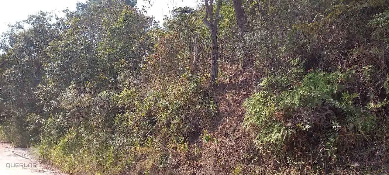 Terreno, 1768 m² - Foto 2