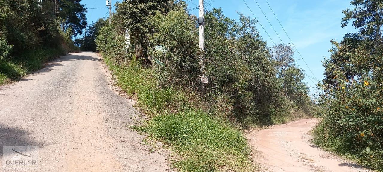 Terreno, 1768 m² - Foto 6