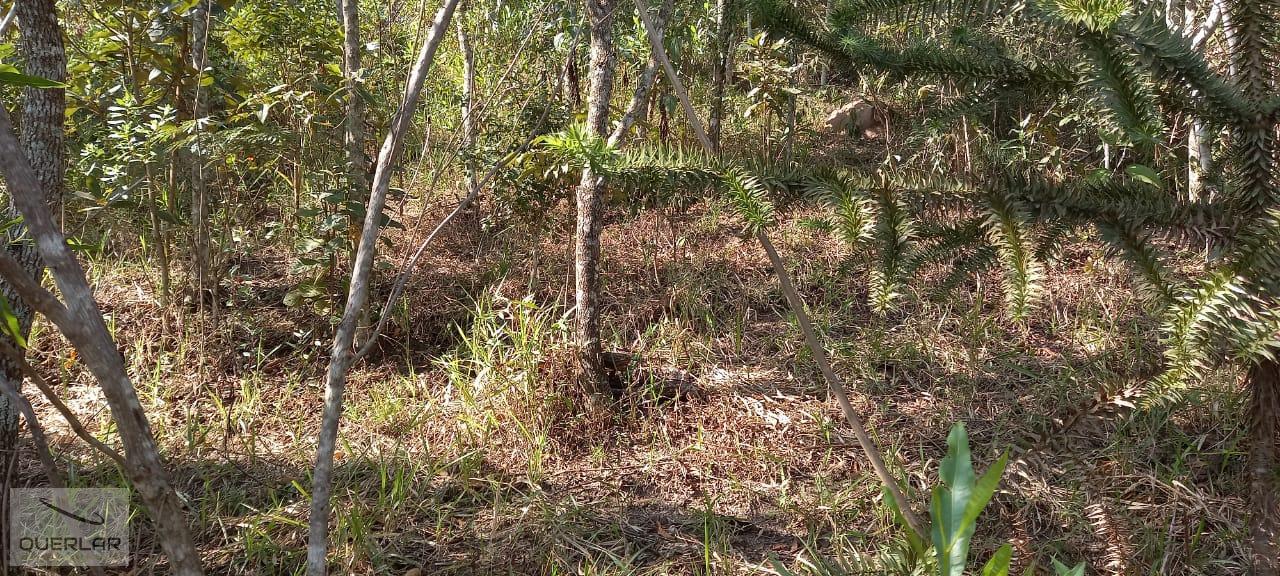 Terreno, 1768 m² - Foto 11