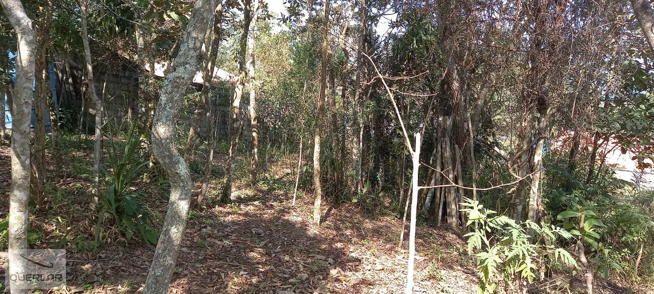 Terreno, 1768 m² - Foto 14