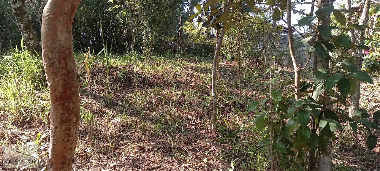 Terreno, 1768 m² - Foto 13