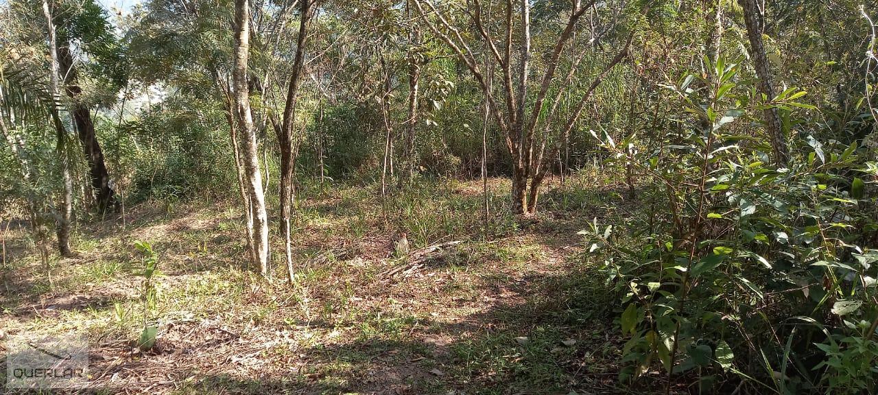 Terreno, 1768 m² - Foto 15